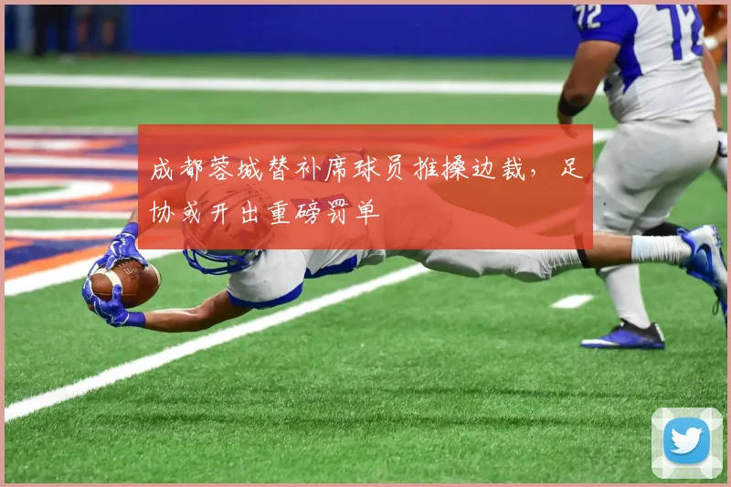 成都蓉城替补席球员推搡边裁,足协或开出重磅罚单