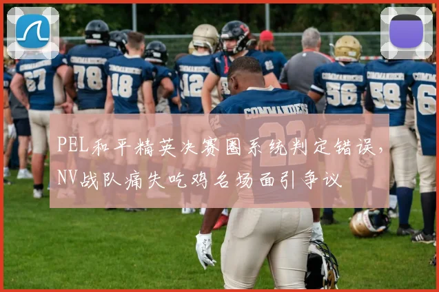 PEL和平精英决赛圈系统判定错误,NV战队痛失吃鸡名场面引争议